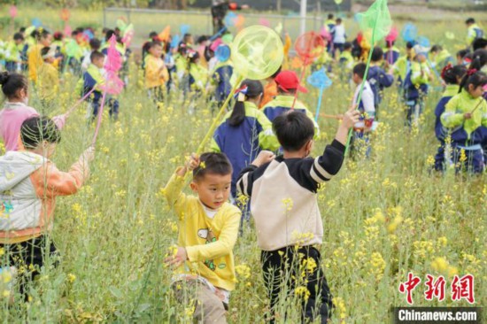 图为小学生在田间进行捉虫竞赛。　陈冠言 摄